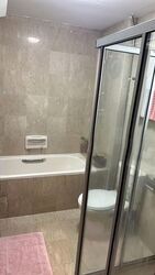 Carissa Park Condominium (D17), Condominium #592375971